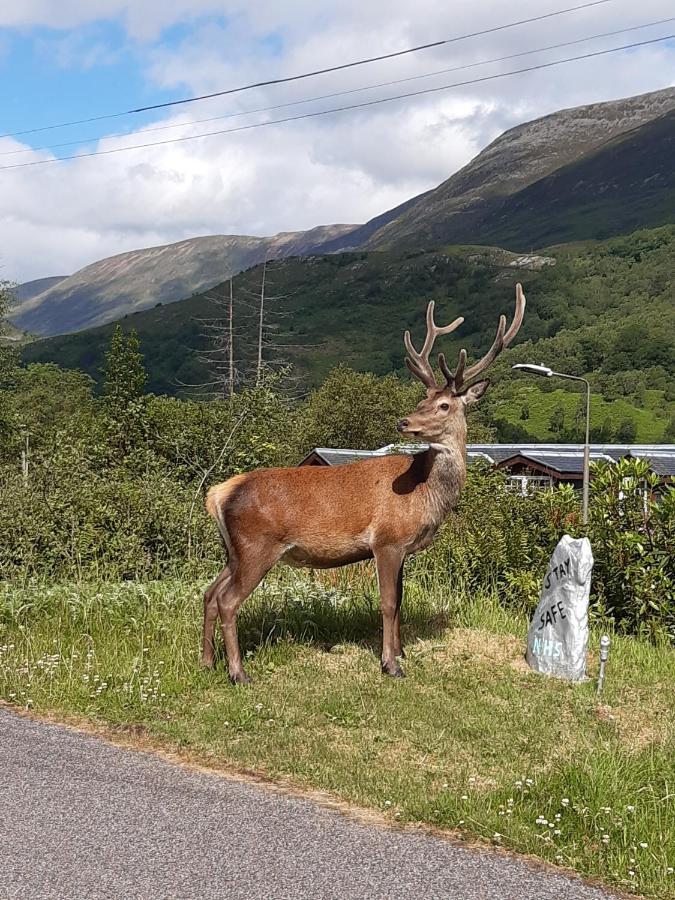 Etive Pod, West Highland Way Holidays Kinlochleven Zewnętrze zdjęcie